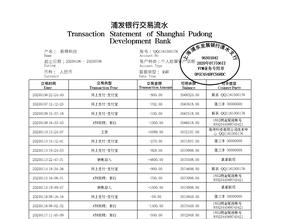 湖北个人薪资流水制作